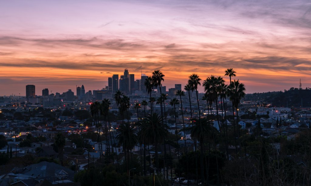 Los Angeles skyline and palm trees at sunset - a travel guide: california
