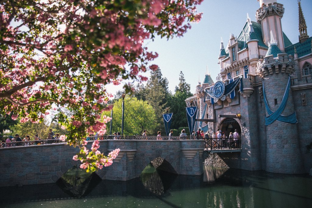 Disneyland castle in daytime on New Years eve